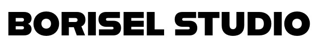 boriselstudio.us