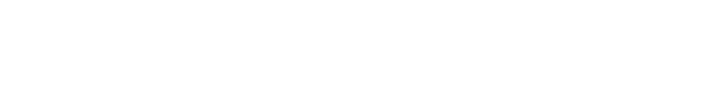 boriselstudio.us